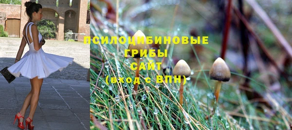 бошки Алзамай