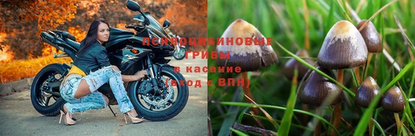 не бодяженный Алексин
